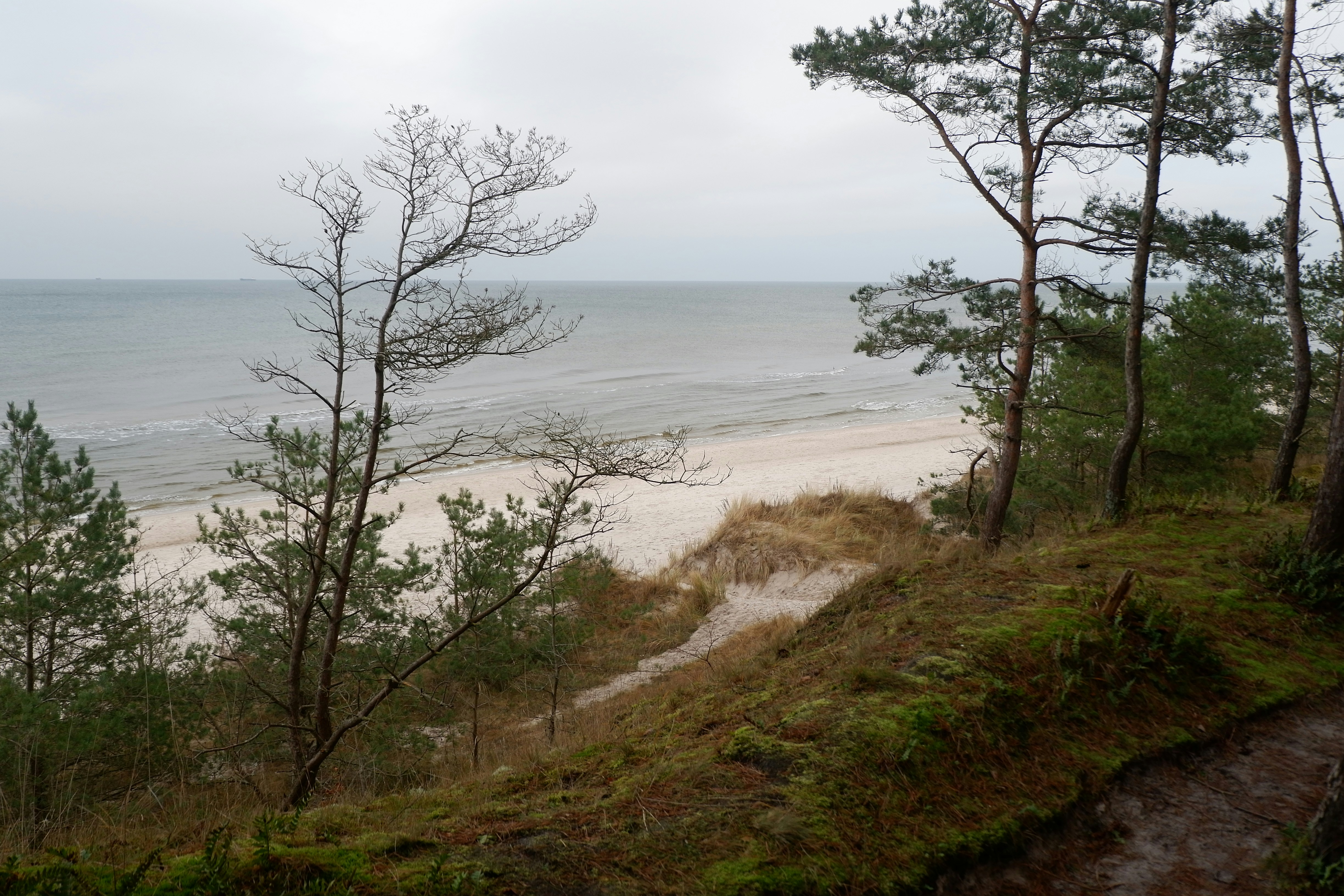 Grzybowo - Kołobrzeg. Poland.